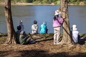행복한 힐링의 시간, 송호숲길..
